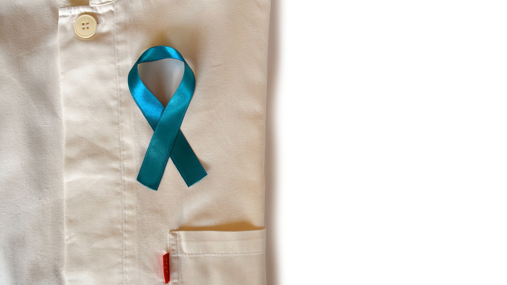 Blue Ribbon 3778242 1920 614dc117d2deb