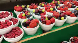 Fruits 2512967 1920