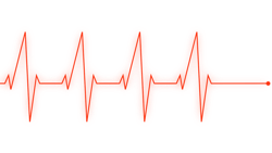 Health 846780 1280 6130e1263f787 Health 846780 1280 6130e1263f787