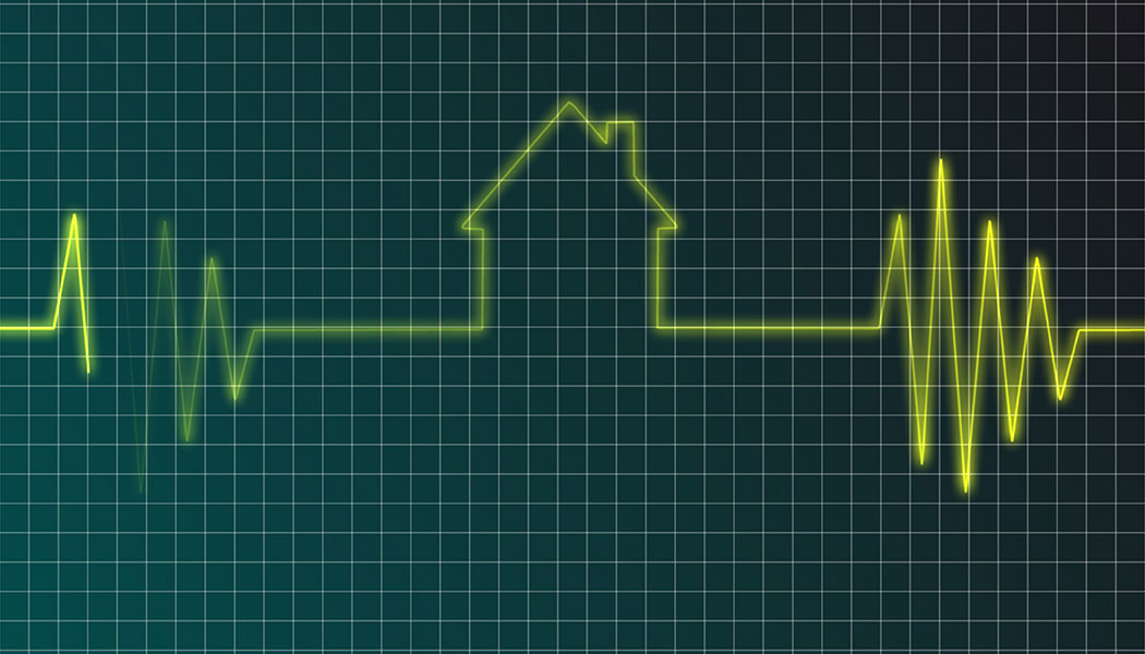 Or Primary 614b66a69b8b7