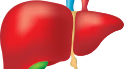 Liver Gfd3bc4c39 1920