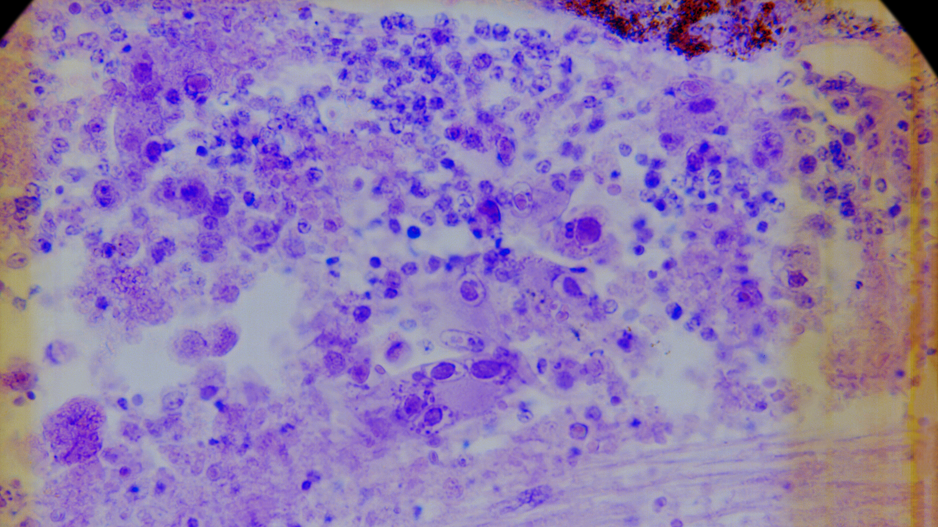 22070 1 617c16029d9d5