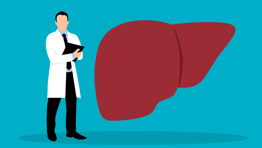 Liver G6707bfced 1280 617ad1a2ce2aa