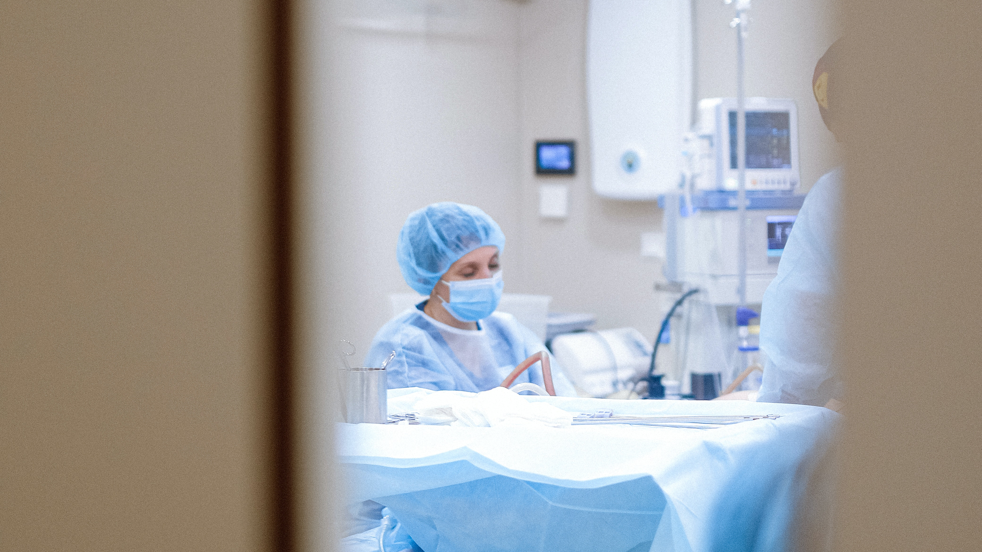 Pexels Anna Shvets 4483323 616ee5e1e230a