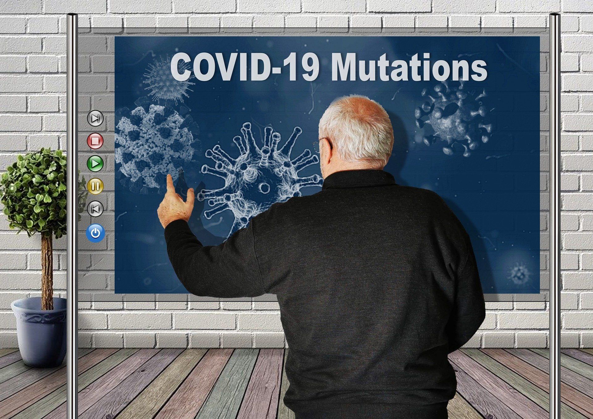 Covid Mutations Image By Wilfried Pohnke Pixabay 617185e593877