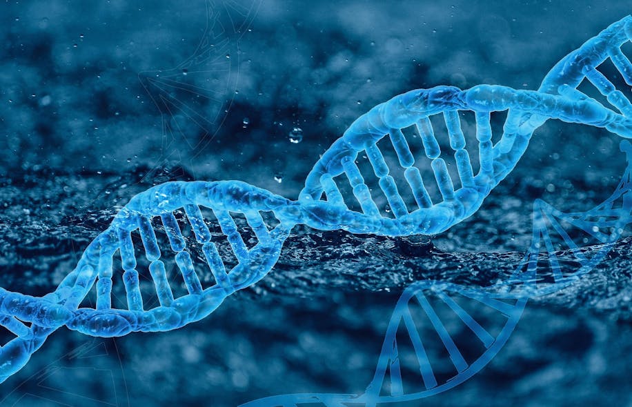 Dna Gcef84a09c 1920