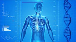 Human Skeleton Gb2b9722cf 1280 615f0d71dccde Human Skeleton Gb2b9722cf 1280 615f0d71dccde