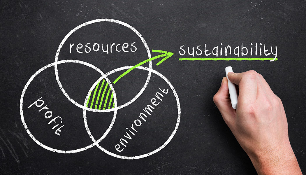 Sustainability 616f0f524b593