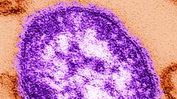 10707 618d49f1a81dd 10707 618d49f1a81dd