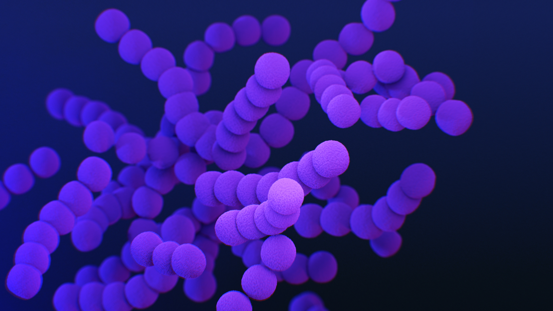 23246 1 618a92911f65c