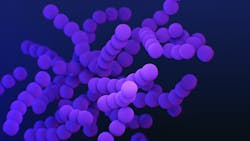 23246 1 618a92911f65c 23246 1 618a92911f65c