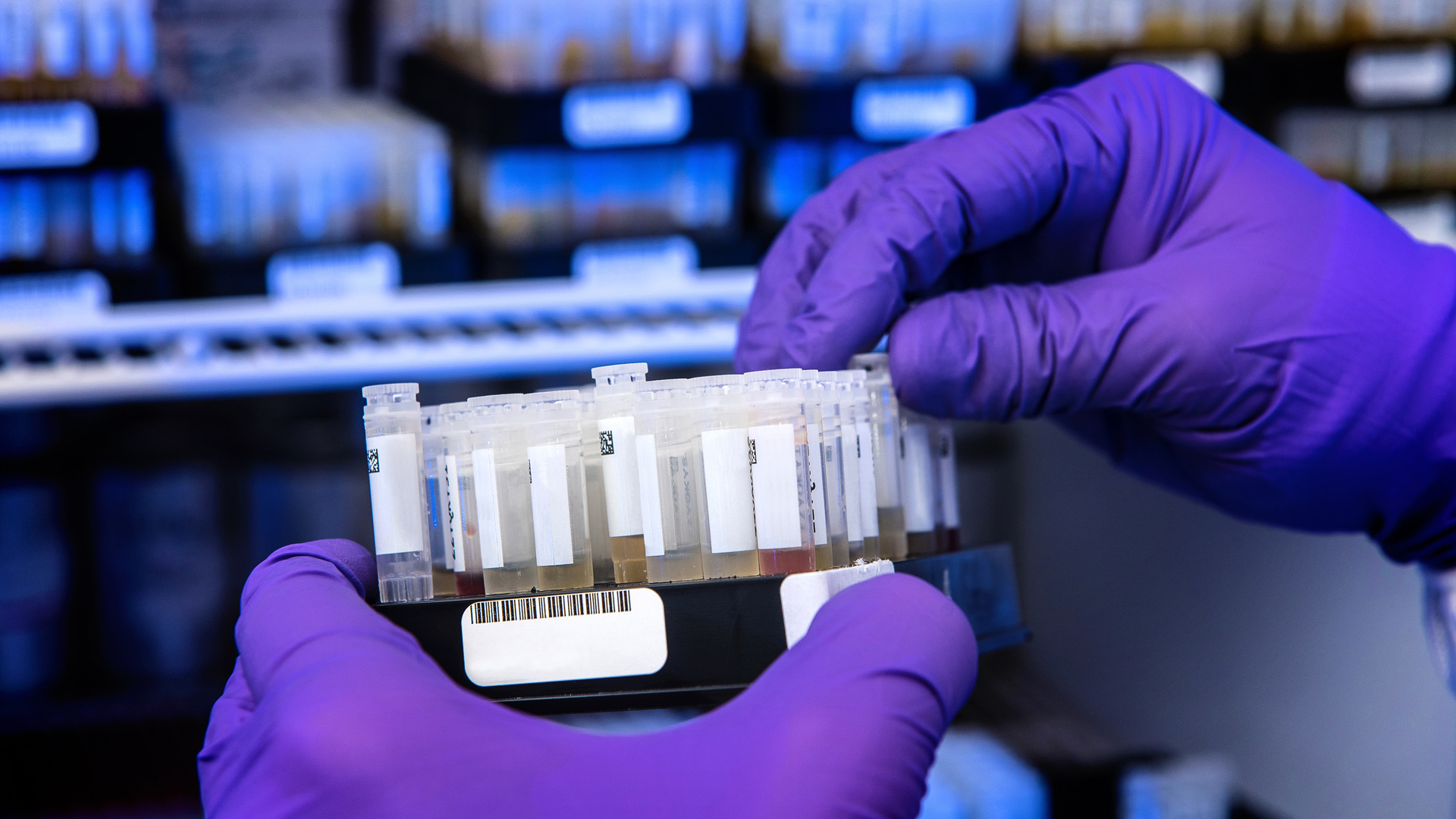 Cdc Cf S6 A4 U5g8 M Unsplash 1 6193f262b47ff