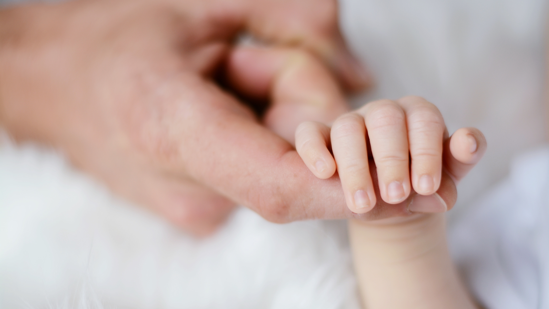 Pexels Andreas Wohlfahrt 733880 619d183402fc5