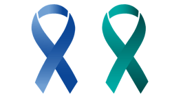 Ribbon Gda1001958 1920 619529db0be4d Ribbon Gda1001958 1920 619529db0be4d