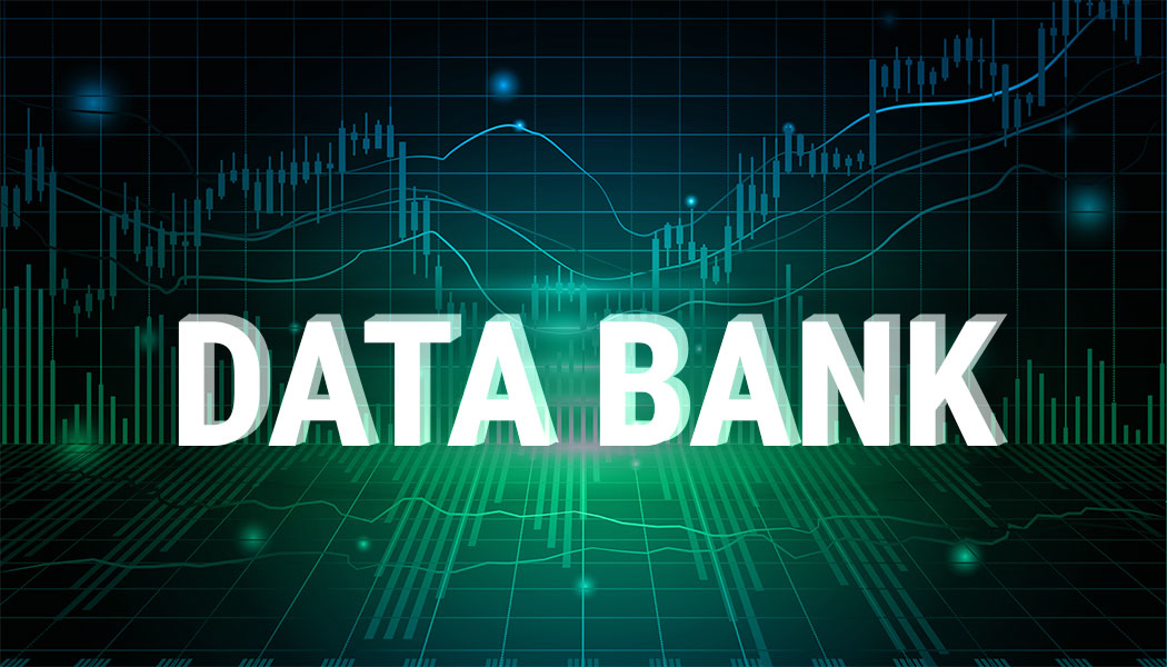 Databank Primary 6195516669134