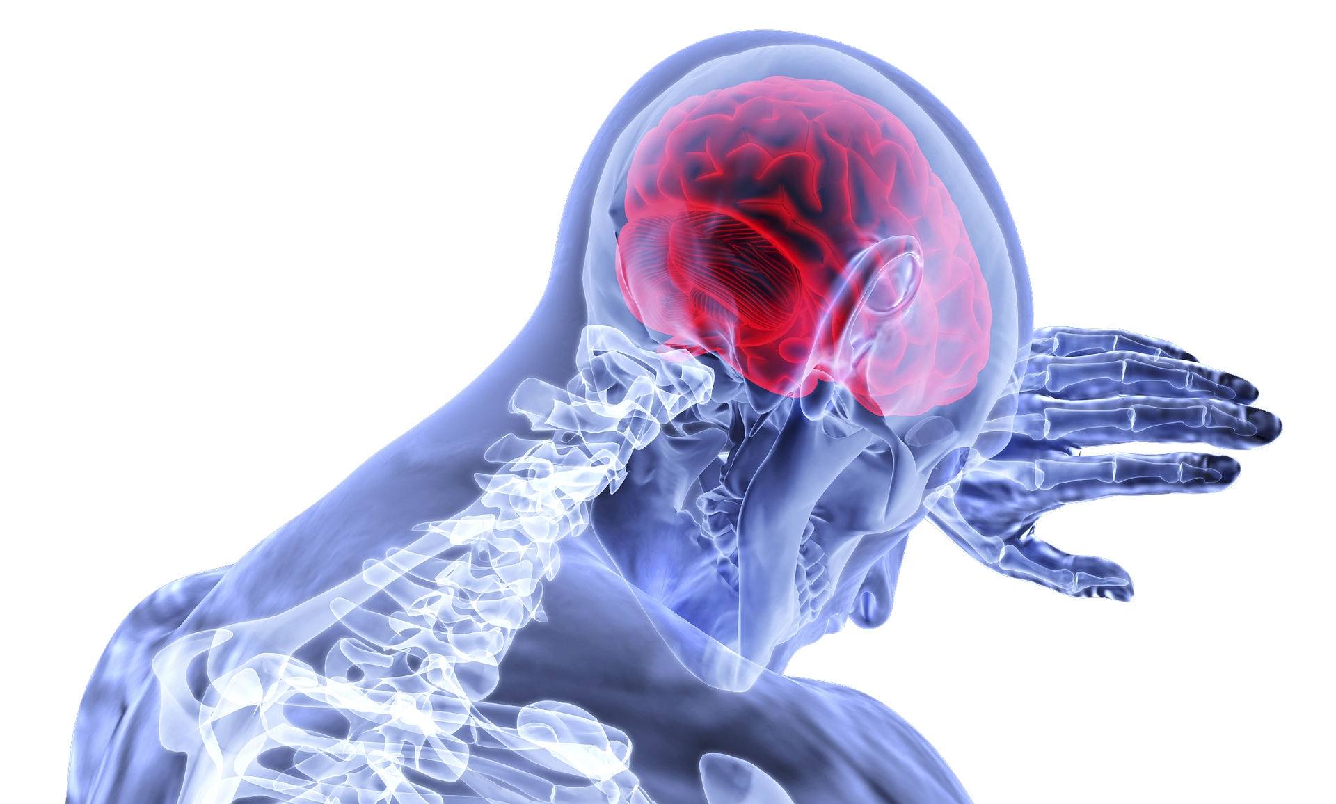 Brain G644fa636a 1920 61968085542ab