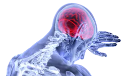 Brain G644fa636a 1920 61968085542ab Brain G644fa636a 1920 61968085542ab