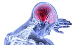 Brain G6f41d09e8 1920 61927fd93c3b2 Brain G6f41d09e8 1920 61927fd93c3b2