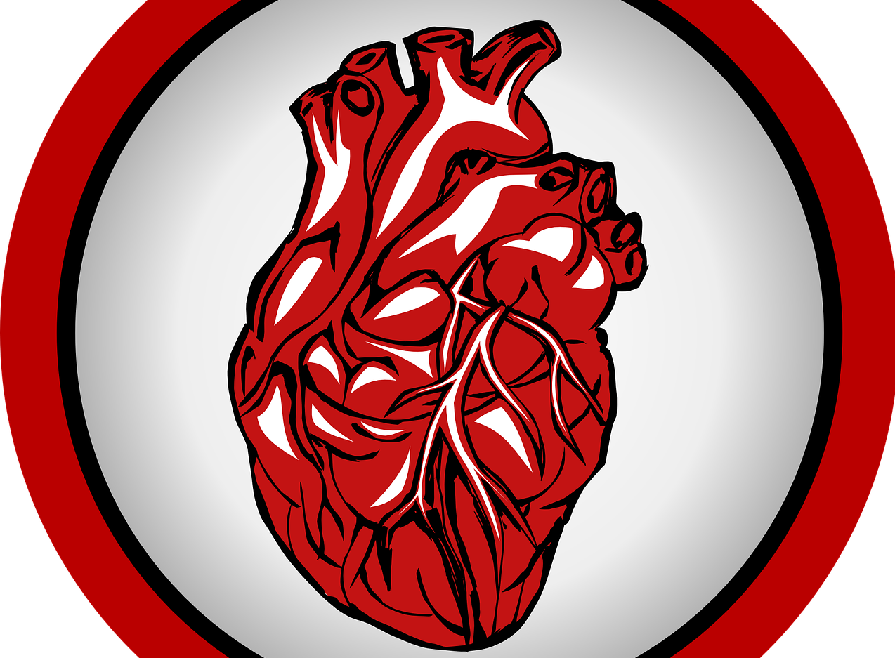 Heart Ge5bb7ac9e 1280 619bbee67b7da