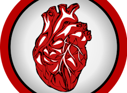 Heart Ge5bb7ac9e 1280 619bbee67b7da Heart Ge5bb7ac9e 1280 619bbee67b7da