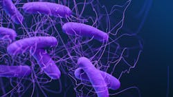 Courtesy of CDC Courtesy of CDC