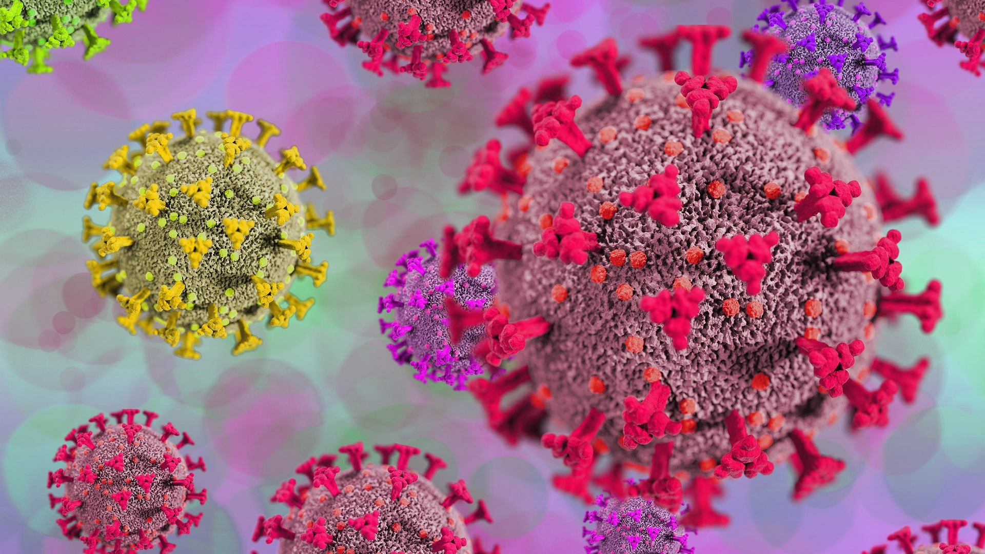 Virus G1e7a9910a 1920 61af7b1eeaa6d