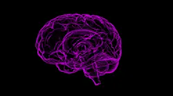 Brain Gea2768c40 1920