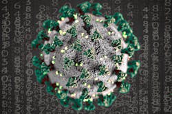 Corona Gedca63565 1920 61cb1c037ab7d Corona Gedca63565 1920 61cb1c037ab7d