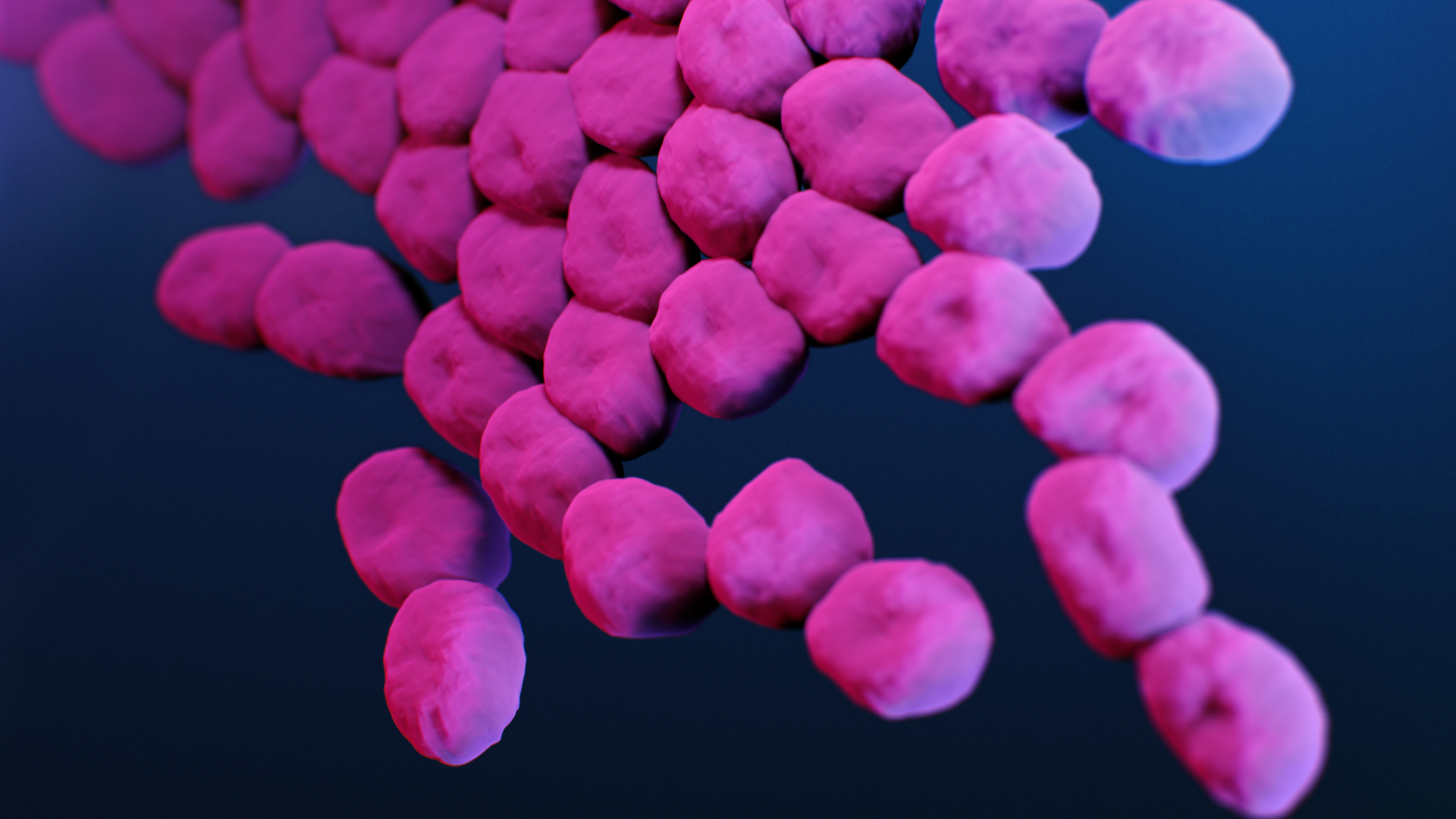 This is a medical illustration of carbapenem-resistant, Acinetobacter sp. bacteria, presented in the Centers for Disease Control and Prevention (CDC) publication entitled, Antibiotic Resistance Threats in the United States, 2019 (AR Threats Report). Courtesy of CDC.