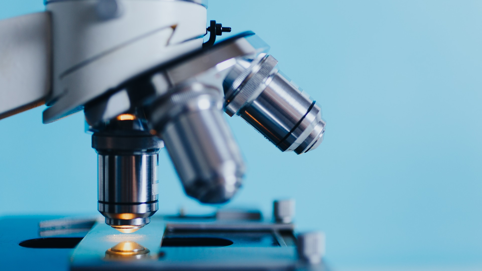 Analysis 2030266 1920 61ef0ded568e6