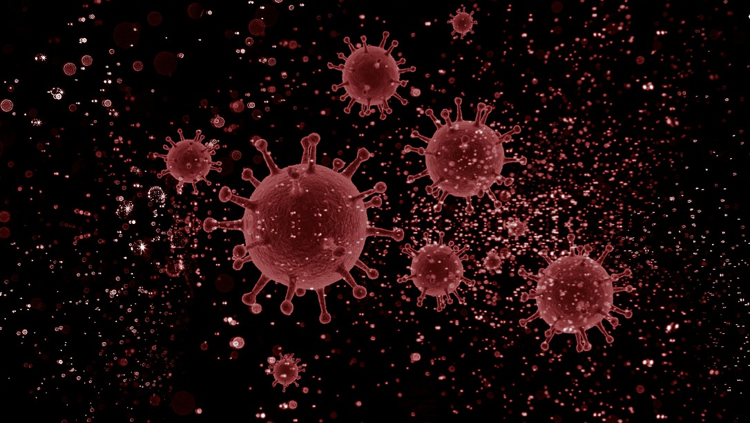 Coronavirus G4a1ab7b7b 1920 61d2fbcf905c5