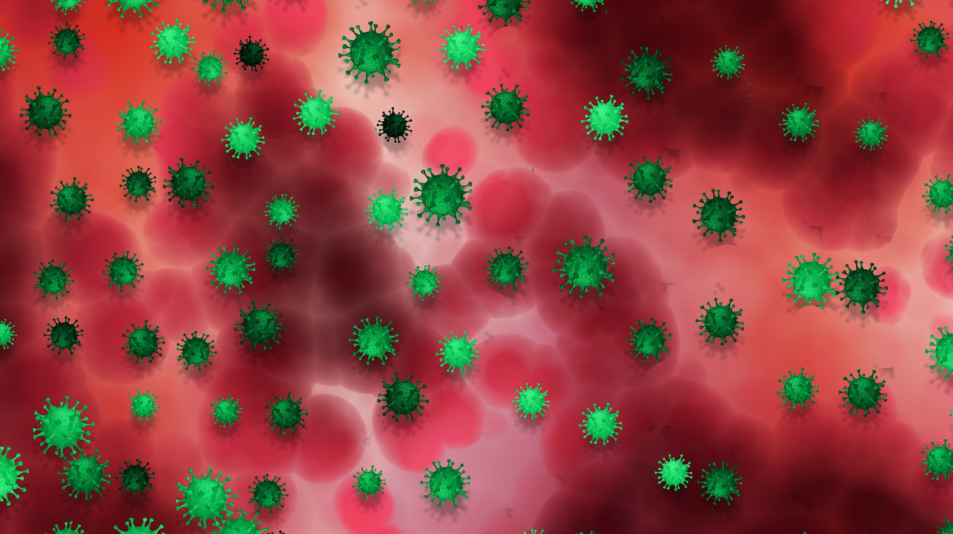 Covid 19 G31331c210 1920 61f41b31869a9