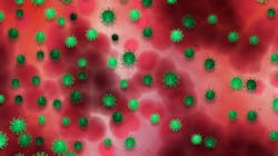 Covid 19 G31331c210 1920 61f41b31869a9 Covid 19 G31331c210 1920 61f41b31869a9