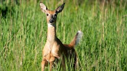 Marko Hankkila Y I2ypk Xqz Y Unsplash 61f16155ddc64 Marko Hankkila Y I2ypk Xqz Y Unsplash 61f16155ddc64