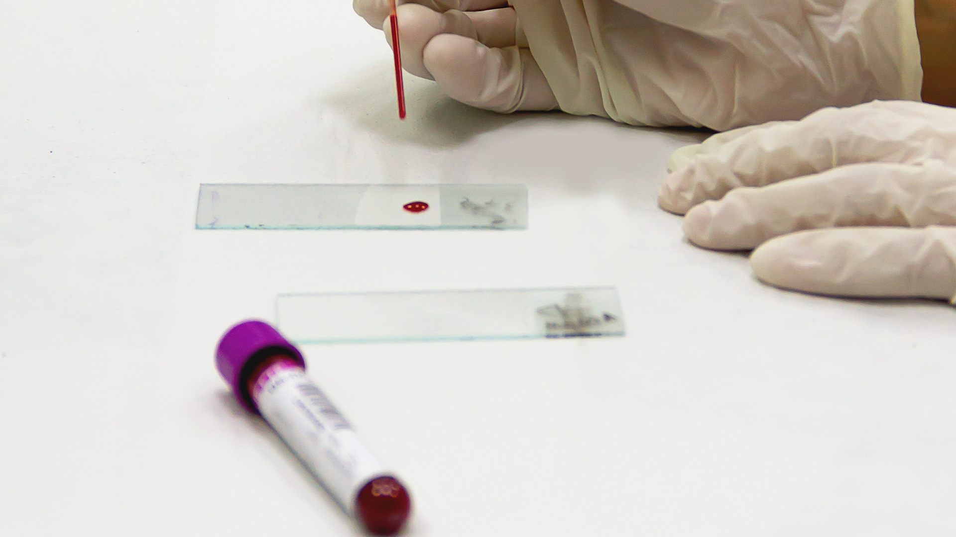 Pexels Roberto Carrafa 3908179 61dd9b70bb064