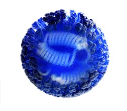 Courtesy of CDC Courtesy of CDC