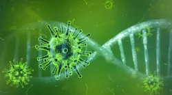 Pixabay Coronavirus 4833754