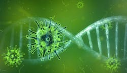 Pixabay Coronavirus 4833754 61e84459191ff Pixabay Coronavirus 4833754 61e84459191ff