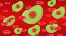 Blood G8b21f276e 1280
