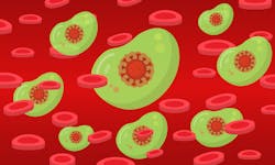 Blood G8b21f276e 1280 61e6e15ec73b7 Blood G8b21f276e 1280 61e6e15ec73b7