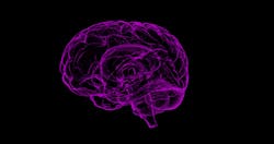 Brain G33d062b83 1920 61ead5c64b0bf Brain G33d062b83 1920 61ead5c64b0bf