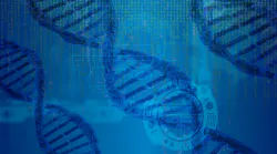 Dna G20da7d2d2 1920