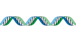 Dna G504822d78 1280