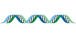 Dna G504822d78 1280 61f40ee34acdc Dna G504822d78 1280 61f40ee34acdc