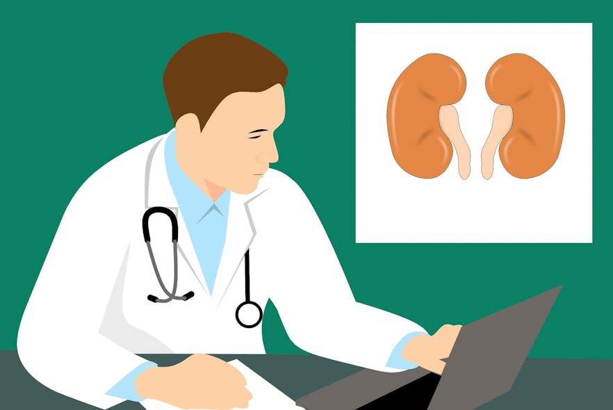 Kidney G83a2b0b61 1920