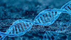 Dna Ge09d17fa3 1920 621ccf9a27f44 Dna Ge09d17fa3 1920 621ccf9a27f44