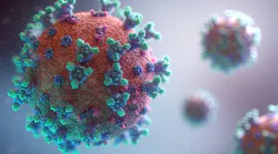 Fusion Medical Animation Rnr8 D3 Fnuny Unsplash (1)