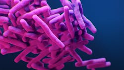 Courtesy of the CDC Courtesy of the CDC