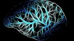 Brain G4d1037d7f 1920