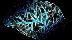 Brain G4d1037d7f 1920 621fafdd91bc8 Brain G4d1037d7f 1920 621fafdd91bc8